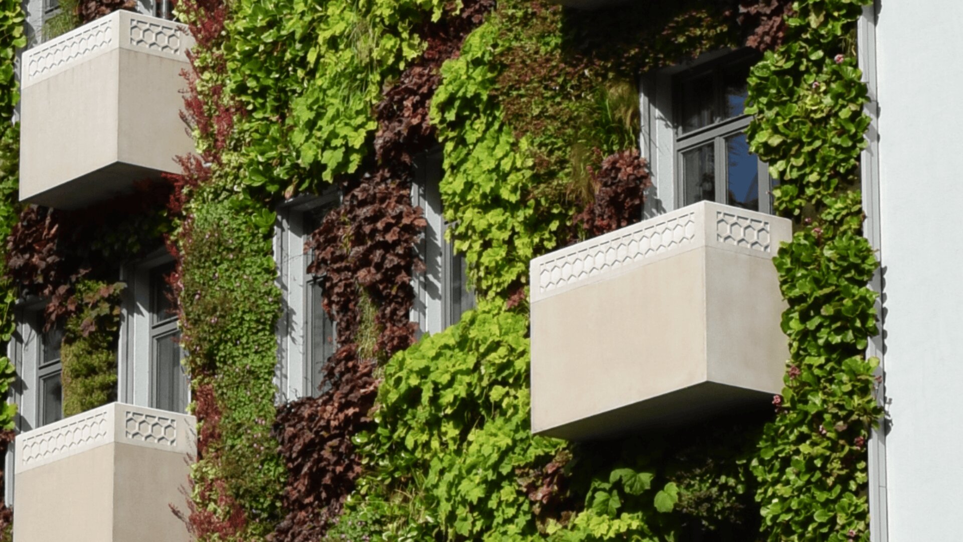A building facade covered with lush green and red plants, featuring several white balconies and large windows. The vertical garden creates a vibrant, natural appearance.